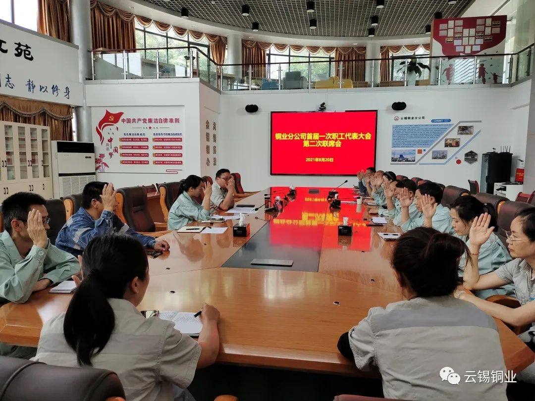 云锡铜业分公司召开首届一次职工代表大会第二次联席会议