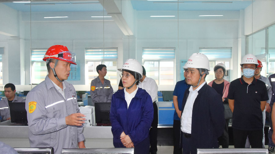 霍州市市長李青雁參觀考察東方希望靈石鋁業