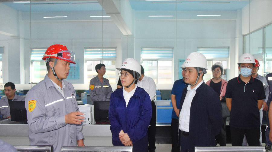 霍州市市长李青雁参观考察东方希望灵石铝业