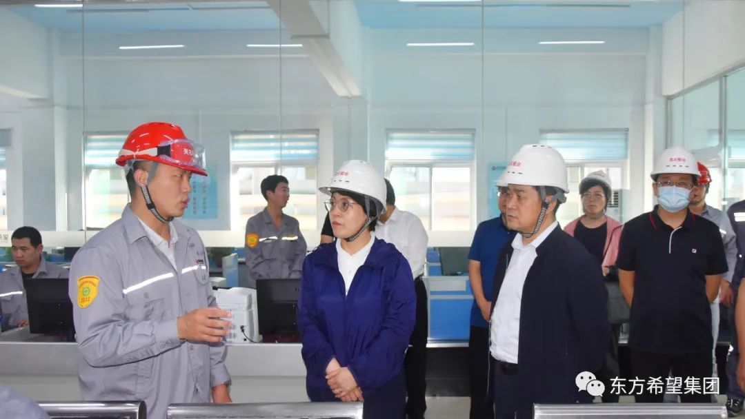霍州市市长李青雁参观考察东方希望灵石铝业