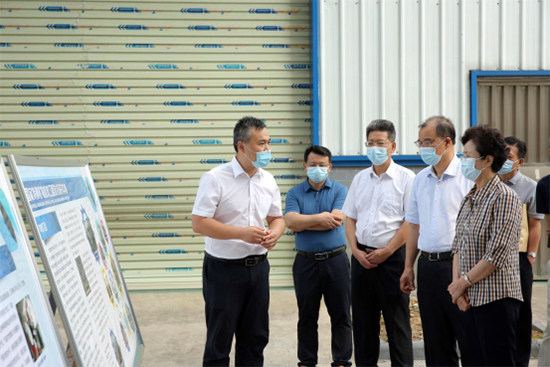 中国有色集团奚正平董事长与中央第六生态环境保护督察组到中色桂矿院同步开展环保调研