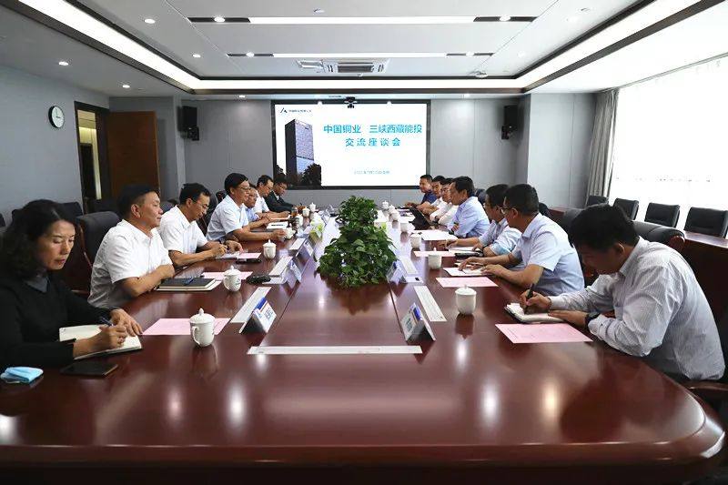 中國銅業與三峽西藏能投交流座談