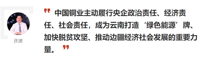 新华网访谈许波：中国铜业有限公司打造“央地合作”新典范