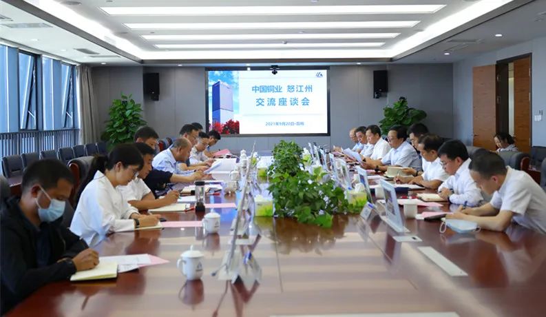 中国铜业与怒江州政府座谈交流