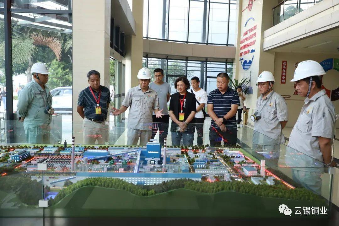 个旧市人大常委会到云锡铜业分公司检查