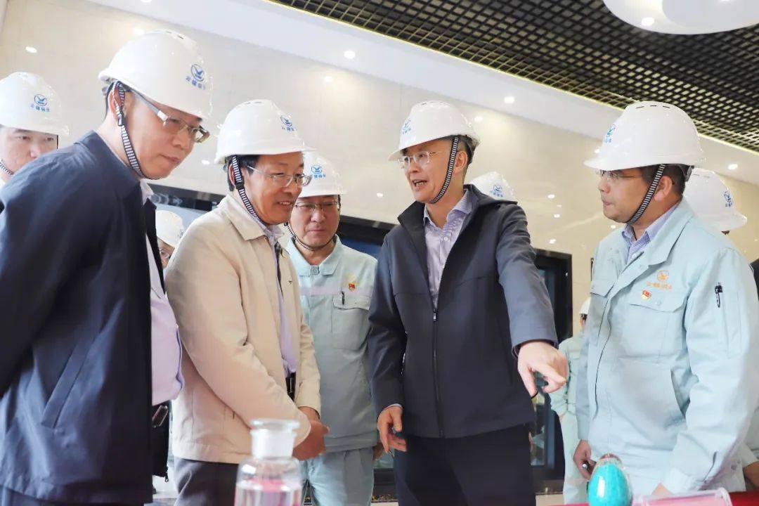 云锡控股公司党委书记胡均调研云锡铜业分公司