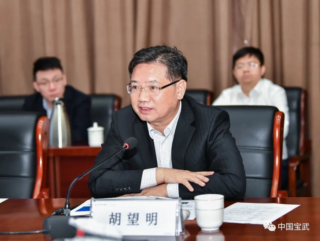 中国宝武总经理、党委副书记胡望明到宝武铝业调研