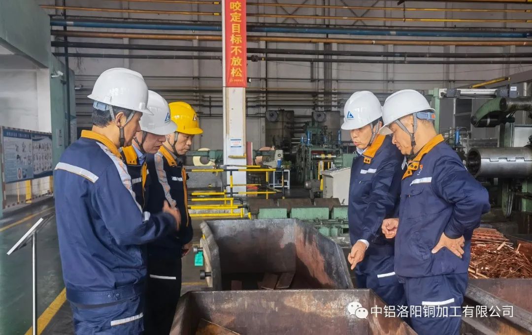 中国铜业副总裁陈琳到洛阳铜加工调研并指导工作