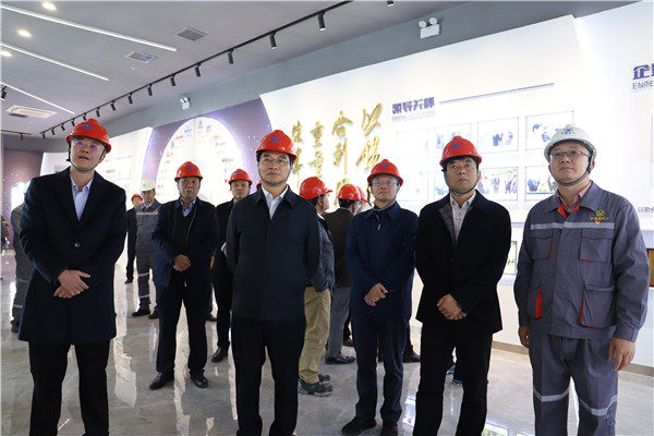 云南省政协副主席董华调研云南锡业