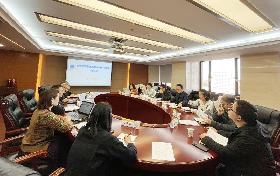 《再生铜示范项目经验成果推广与传播》项目评审会在京召开