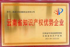 雲鋁淯鑫榮獲“2021年度雲南省知識產權優勢企業”稱號