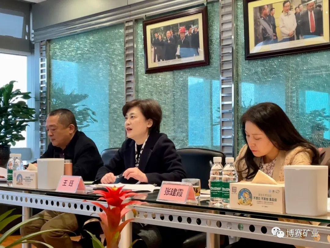 重庆市商务委员会副主任王珏一行莅临博赛集团调研指导