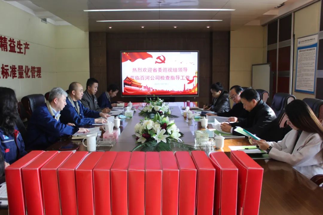 青海省委巡视组领导莅临青海百河铝业检查指导工作