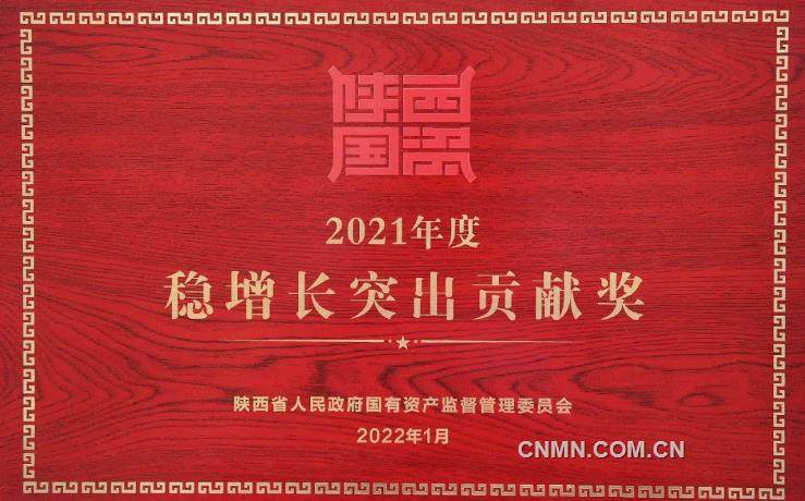 陕西有色金属集团荣获陕西省国资委“稳增长突出贡献奖”