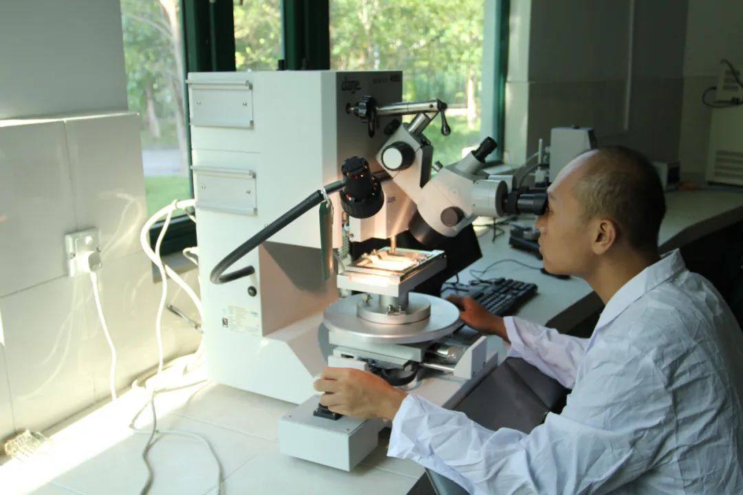 廣晟集團控股上市公司中金嶺南順利通過國家企業技術中心2021年評價