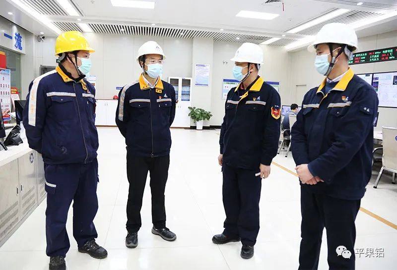 黃衛平到廣西華磊電解鋁廠和發電廠調研