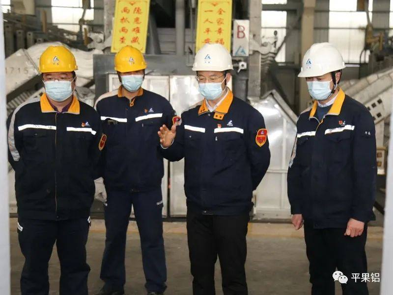 黃衛平到廣西華磊電解鋁廠和發電廠調研