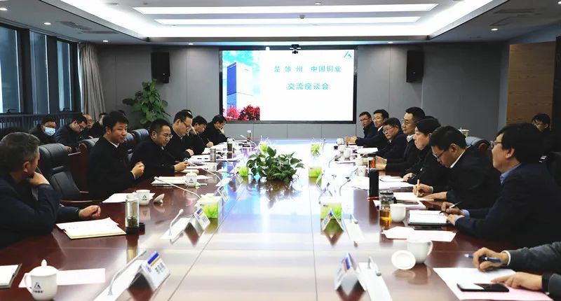 楚雄州委州政府领导到中国铜业交流座谈