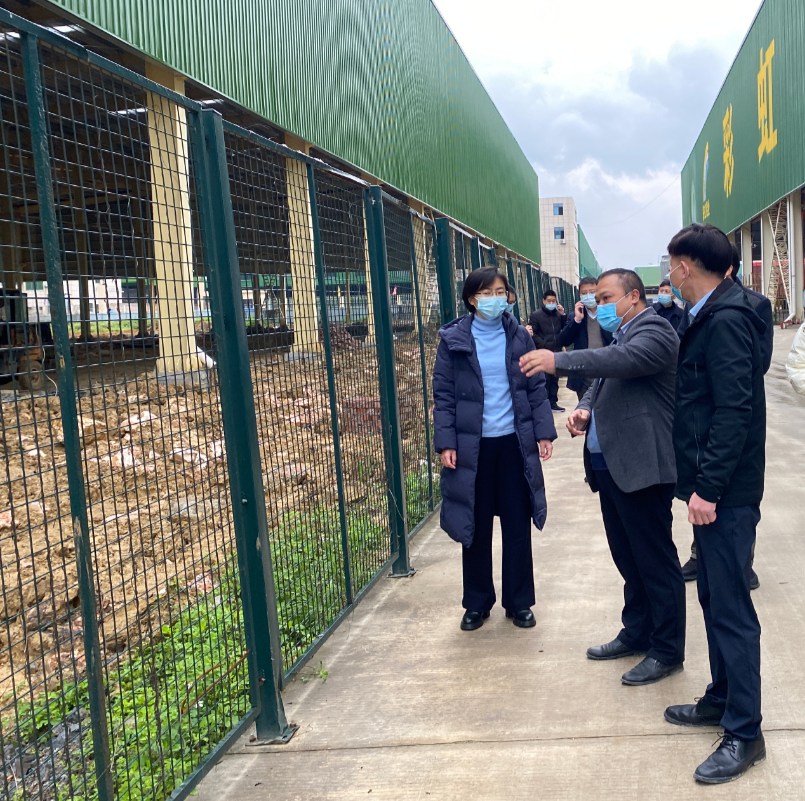百色市委常委、常务副市长孙睿君一行莅临彩虹铝业调研复工复产工作