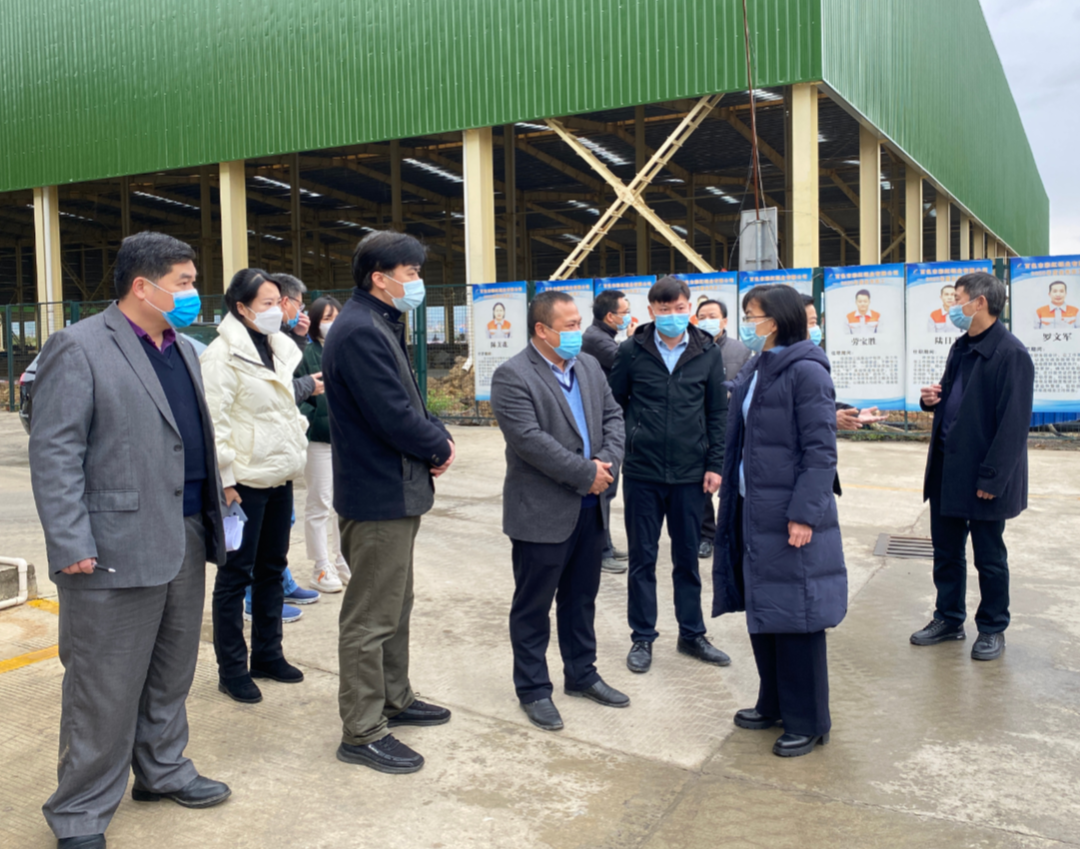 百色市委常委、常务副市长孙睿君一行莅临彩虹铝业调研复工复产工作