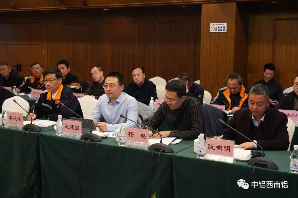 中铝高端制造专职董事到西南铝调研