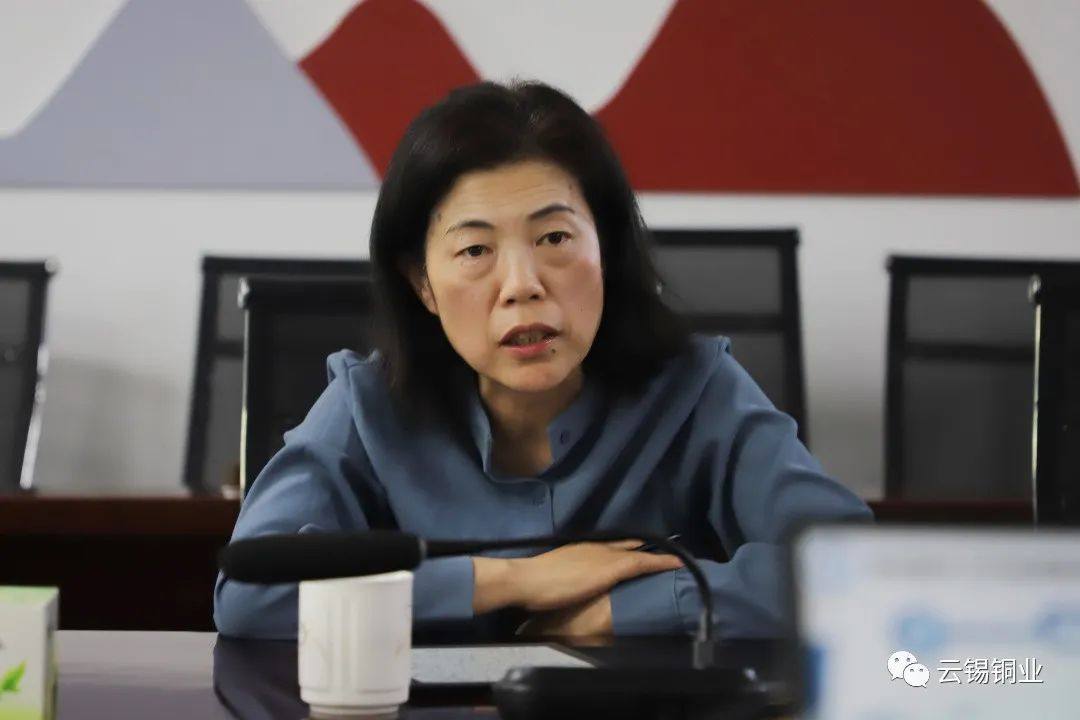 锡业股份副董事长杨奕敏要求云锡铜业分公司全力以赴对标追标赶进度抓落实