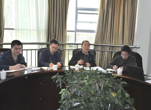 四川省自然资源厅矿保处处长贾志强一行到里伍铜业公司开展绿色矿山“回头看”