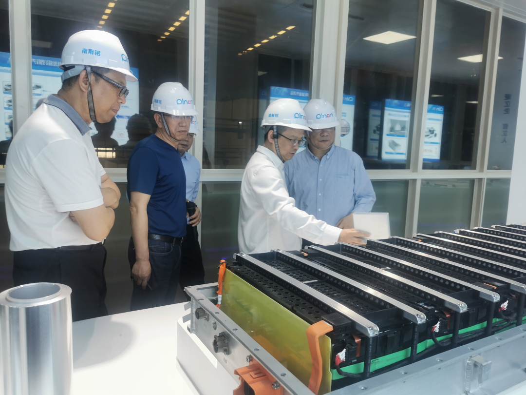 丁伟副市长陪同汇美集团董事长罗静一行到南南铝参观考察