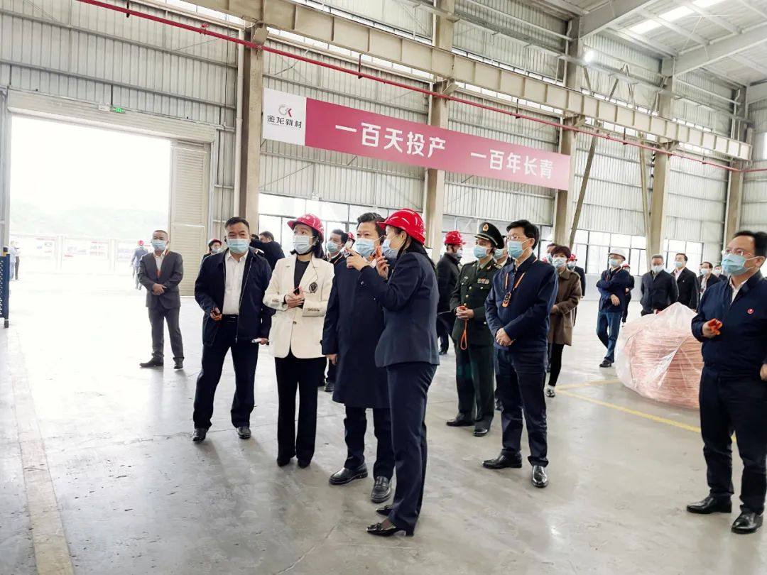 湘潭市委书记刘志仁一行莅临金龙新材考察指导