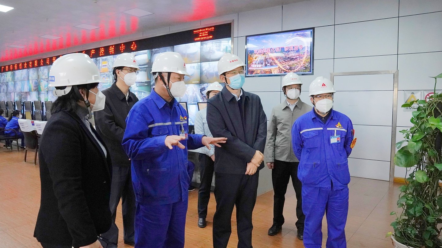 百色市委书记黄汝生到广西华银铝业调研