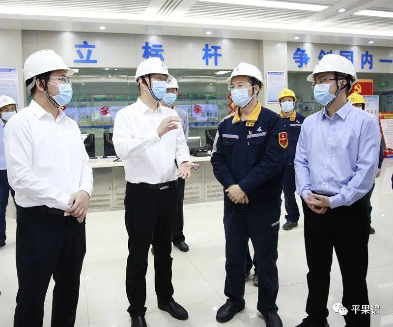 百色市委书记黄汝生到中铝平果铝企业调研