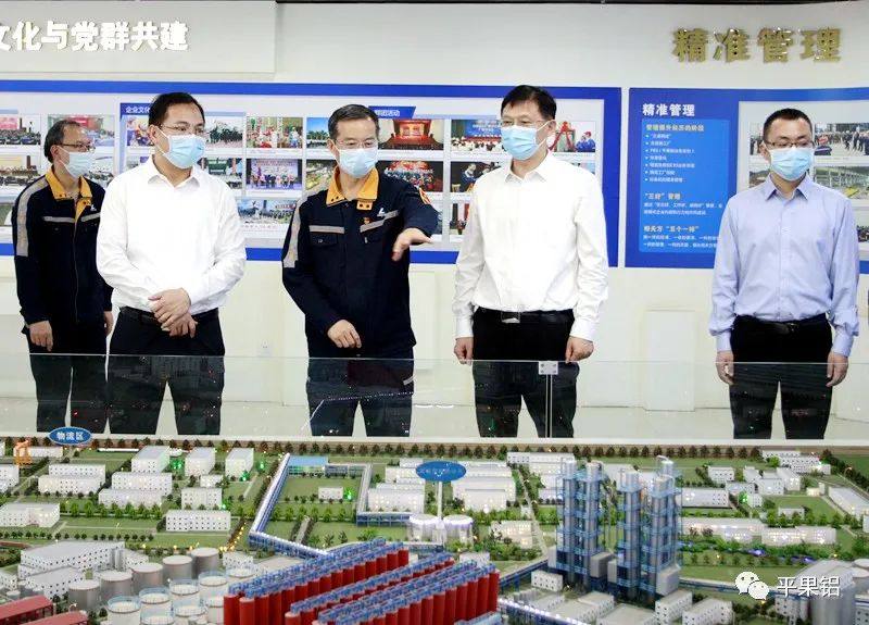 百色市委书记黄汝生到中铝平果铝企业调研