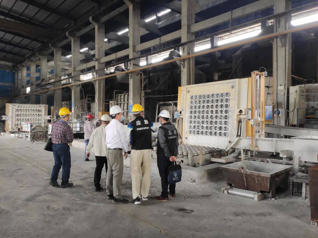 佛山市、区应急局领导专家莅临我司调研检查“铝七条”落实情况