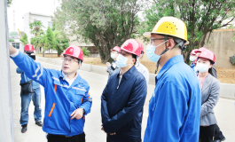 黄石市领导到中色大冶公司调研环保整改工作