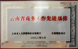 雲南錫業股份榮膺“雲南省商務工作先進集體”