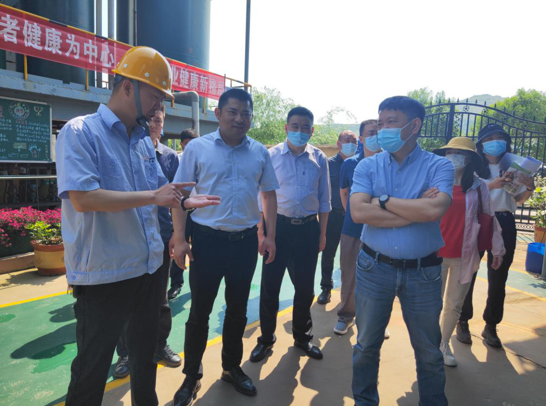省生態環境廳總工程師劉旗龍一行到漢中鋅業開展漢丹江流域水環境保護標準調研