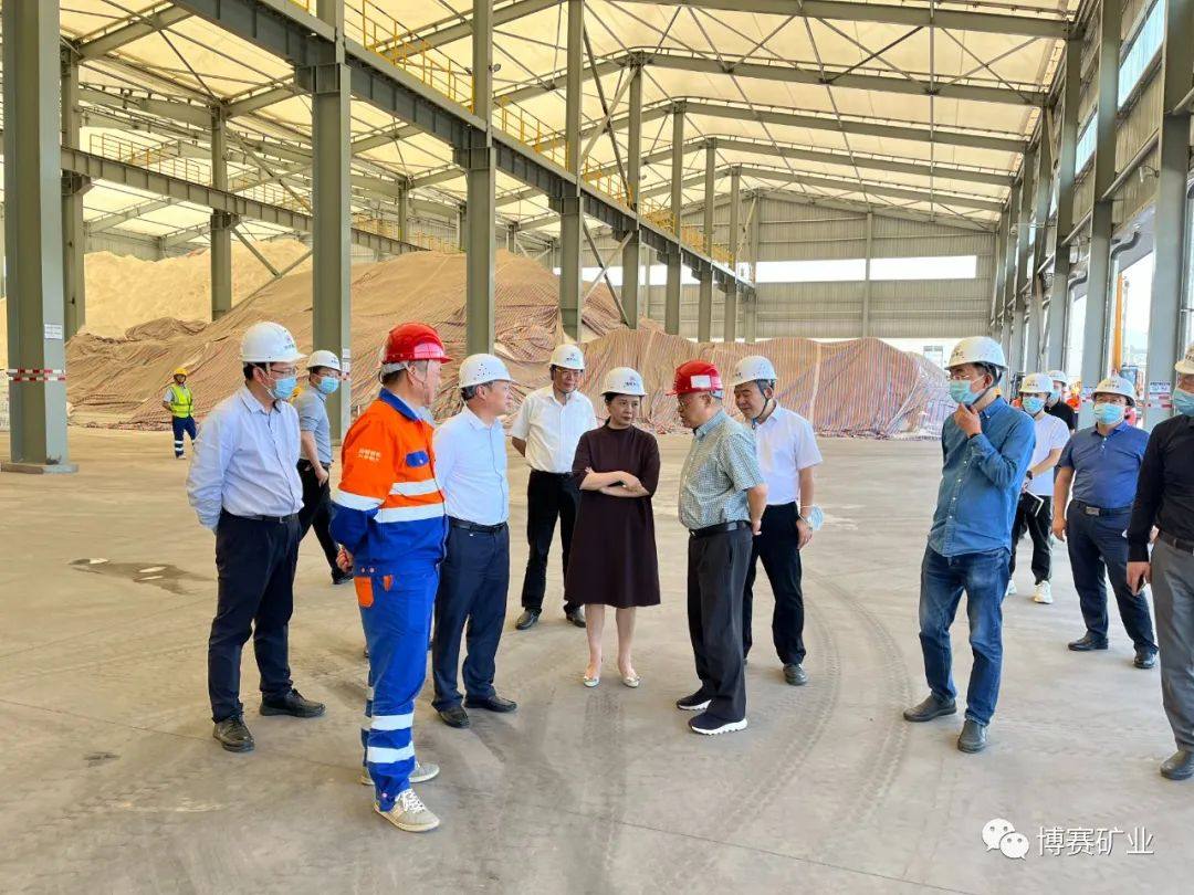 万州区区长聂红焰一行到博赛矿业九龙万博调研