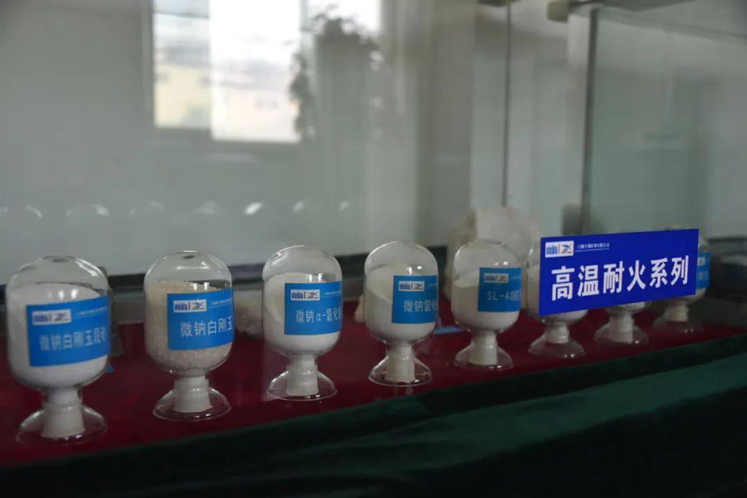 义煤集团副总经理丁剑到义翔铝业检查指导安全生产工作