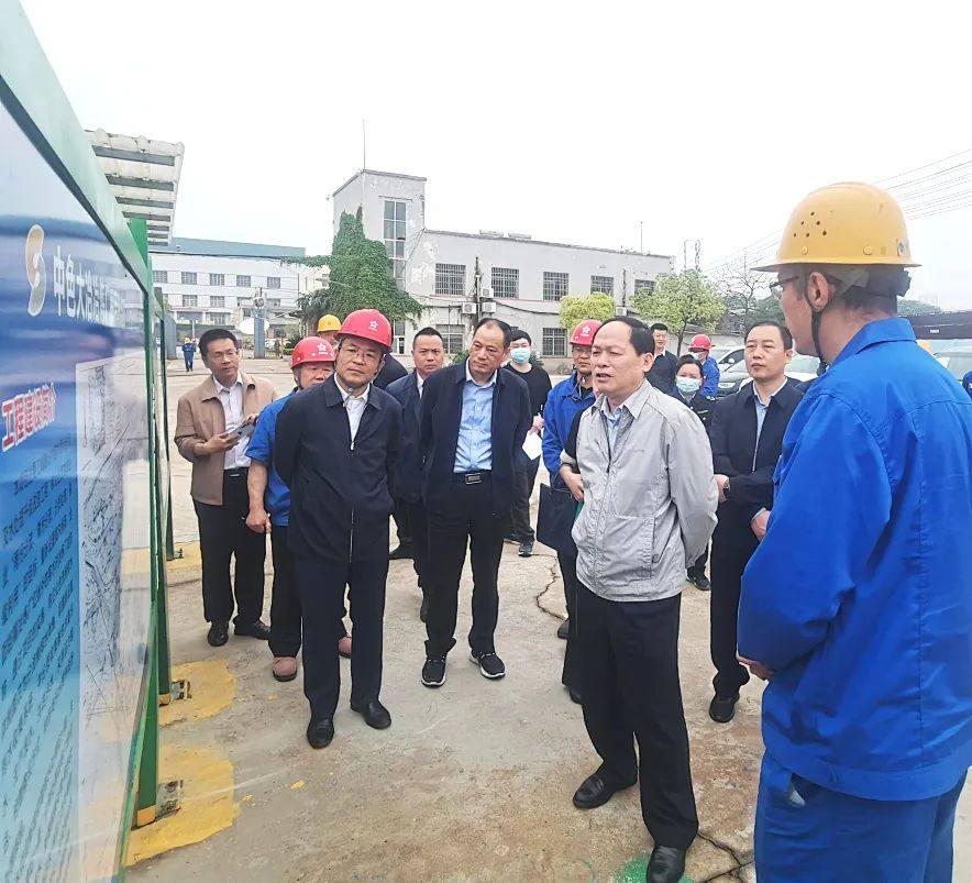 黄石市人大为中色大冶公司环保整改工作助力