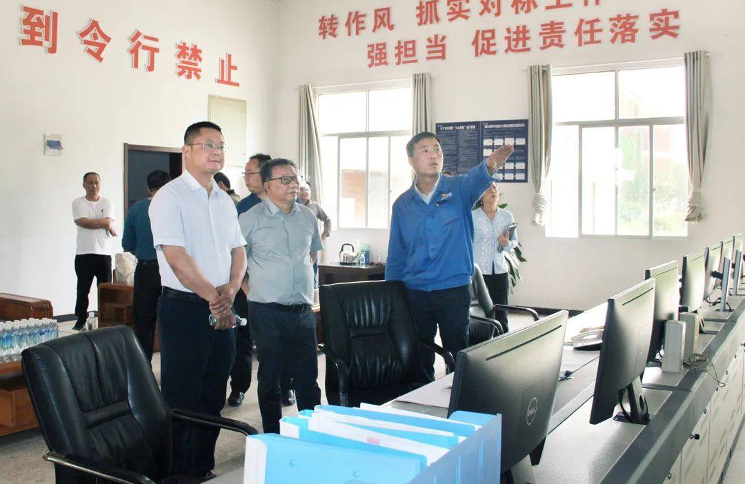 省自然资源厅核查专家组到中色大冶开展绿色矿山“回头看”实地核查工作