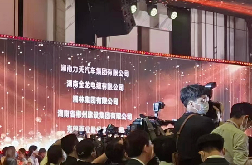 2022年全球湘商大会隆重开幕 湖南金龙集团毛冰花董事长应邀出席