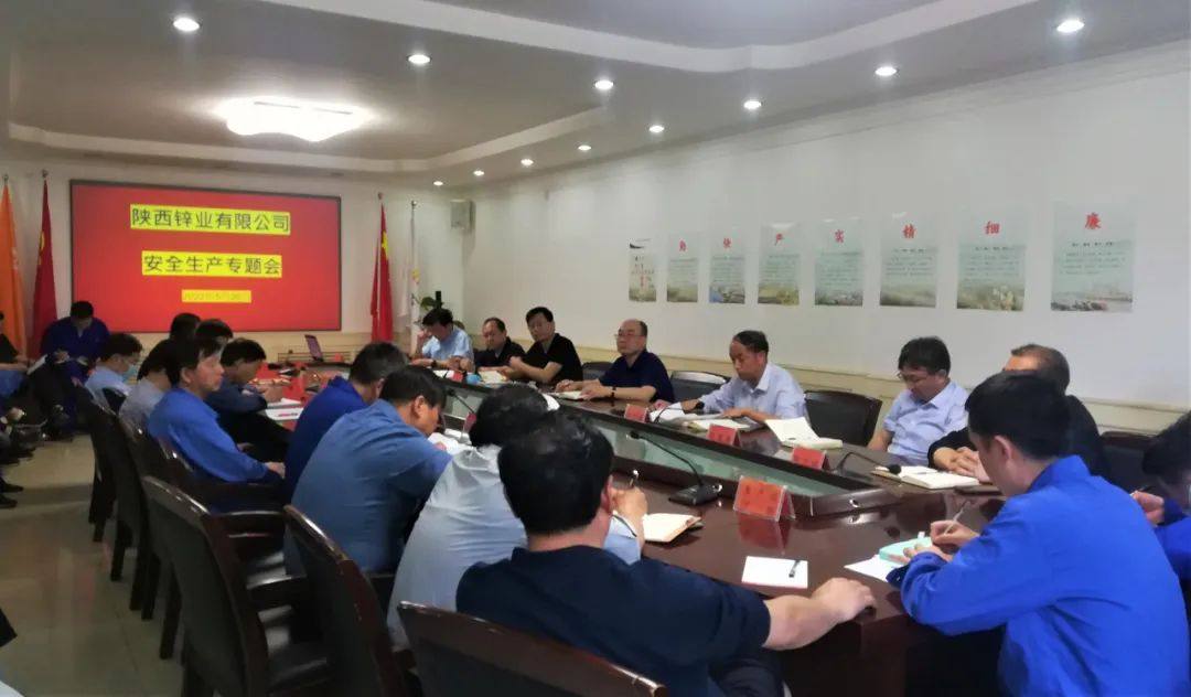 陝西省應急管理廳總工程師王炳鋒一行到陝西鋅業督導檢查安全生產工作