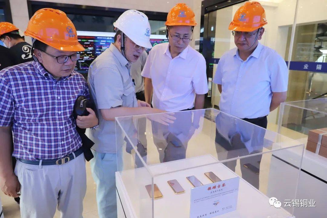 比亚迪客人到云锡铜业分公司调研