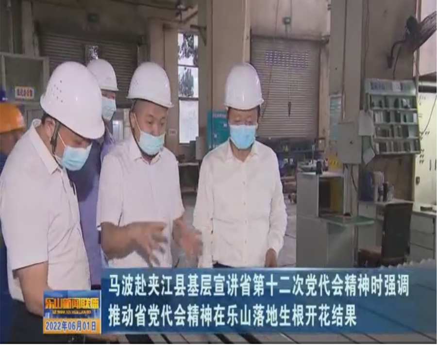 乐山市市委书记马波莅临四川铭帝铝业调研