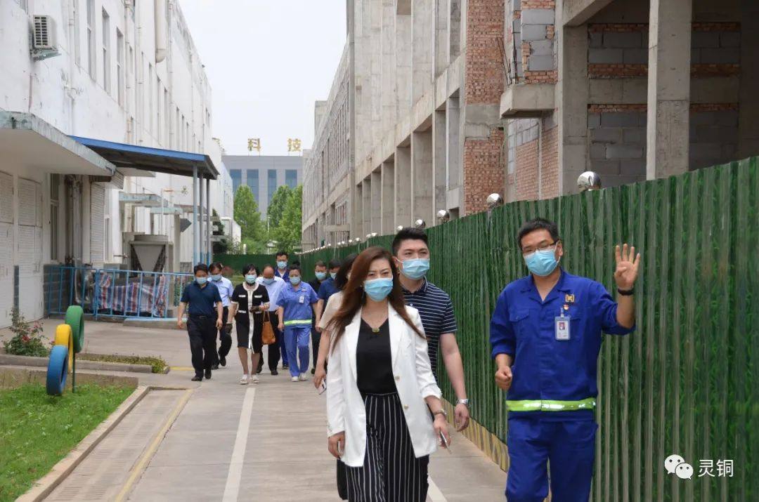 振烨国际投资集团考察团到朝辉铜业参观考察