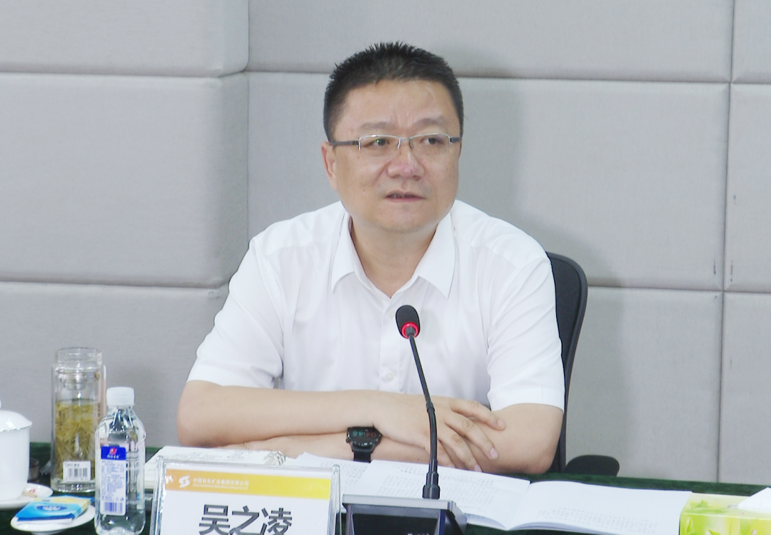 黄石市全力以赴支持中色大冶公司转型升级