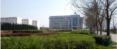 中铝河南洛阳铝加工通过河南省“专精特新”中小企业认定