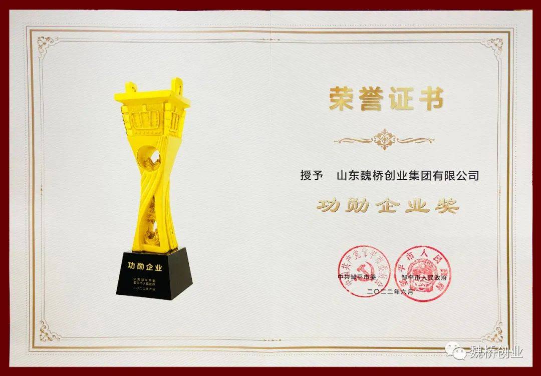魏桥创业集团荣获邹平市“功勋企业奖”