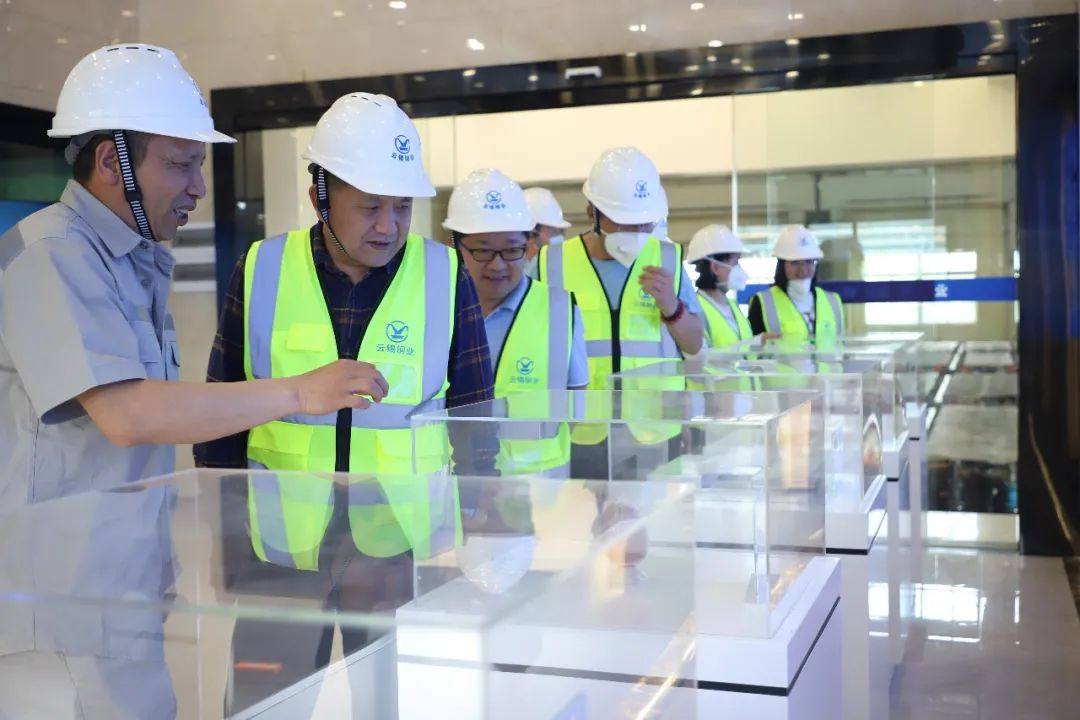 省国资委推磨式交叉检查组到云锡铜业分公司检查指导