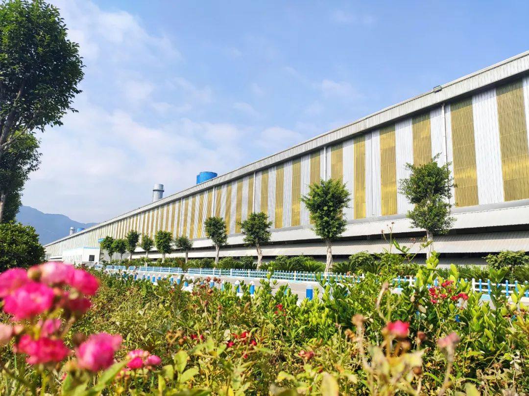 豫联集团公司领导到广元公司调研